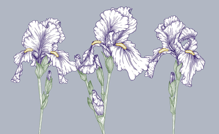 Groupe de fleurs blanches