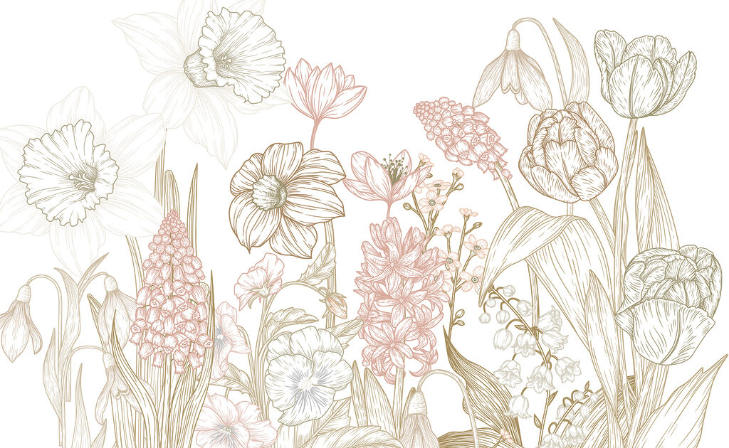 Dessin de fleurs et de plantes Dessin de fleurs et de plantes