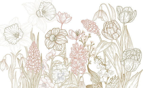 Dessin de fleurs et de plantes Dessin de fleurs et de plantes