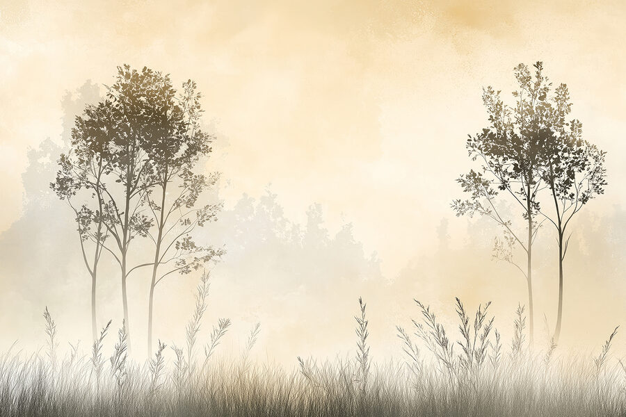 Paysage brumeux avec des arbres et de l'herbe