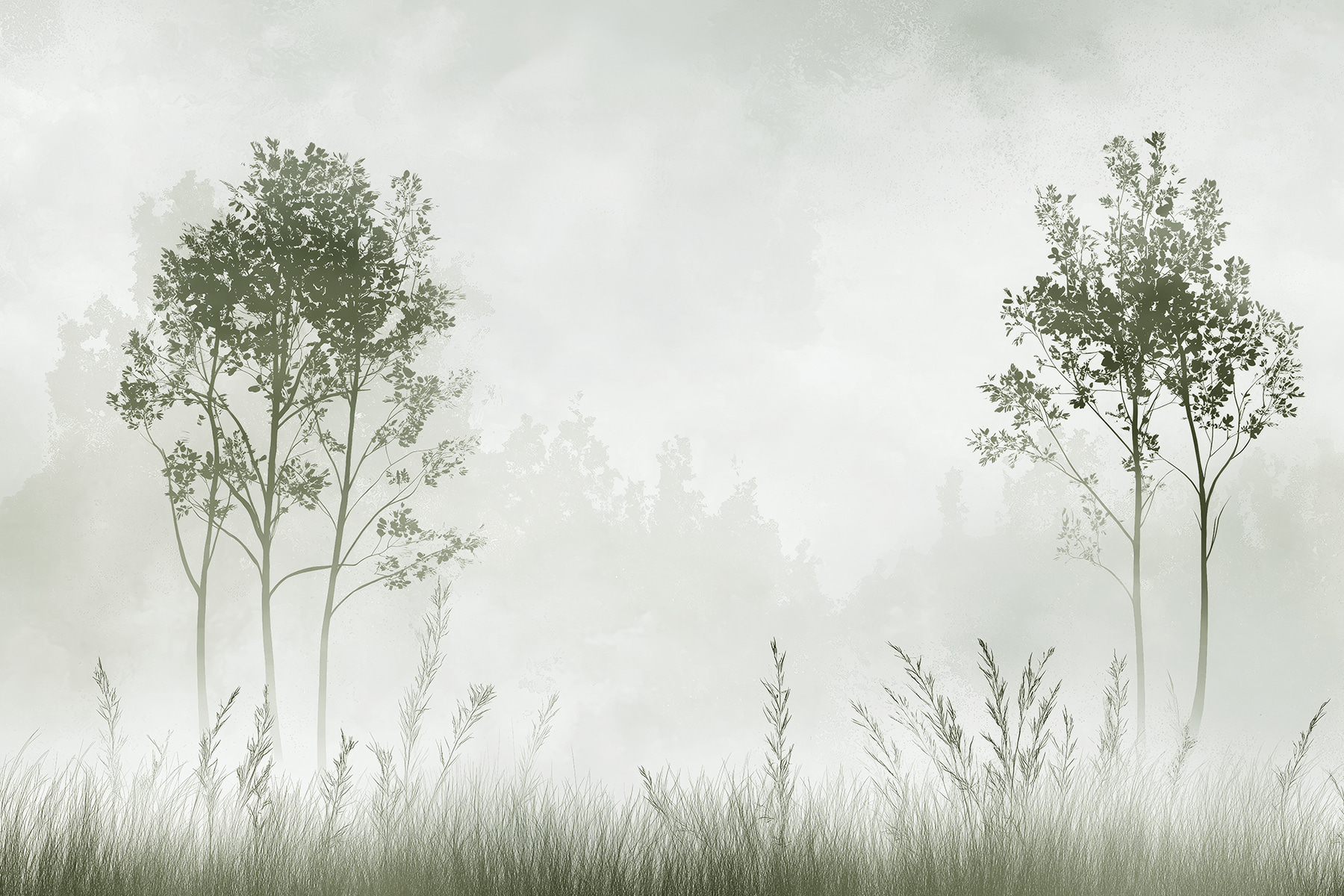 Foggy landscape with trees and grass