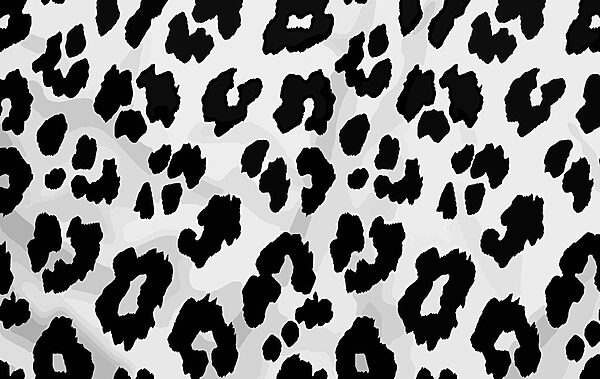 Gros plan d'une peau d'animal en noir et blanc Gros plan d'une peau d'animal en noir et blanc