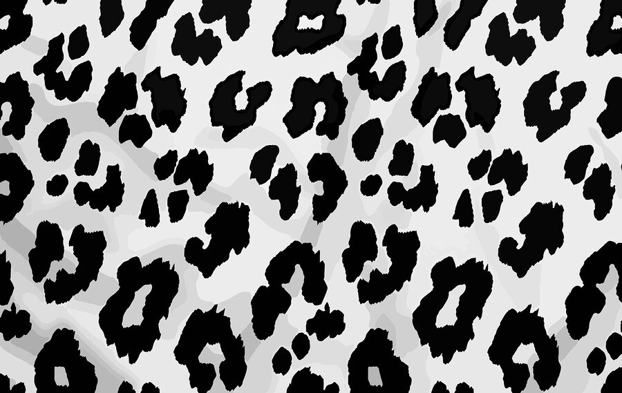 Gros plan d'une peau d'animal en noir et blanc