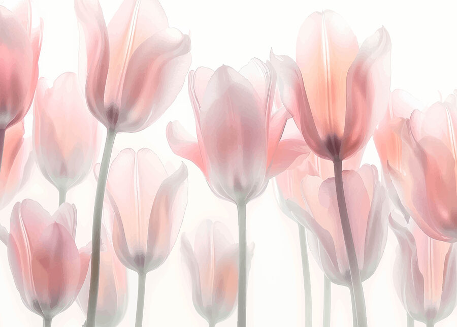 Groupe de fleurs roses