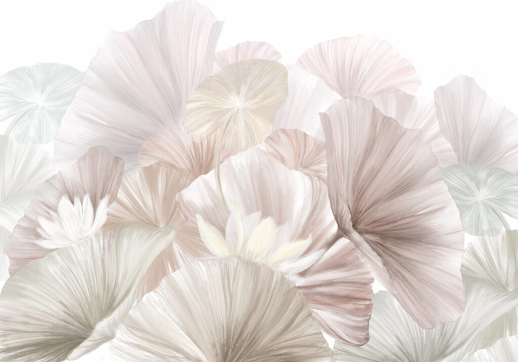 Groupe de fleurs blanches et roses Groupe de fleurs blanches et roses