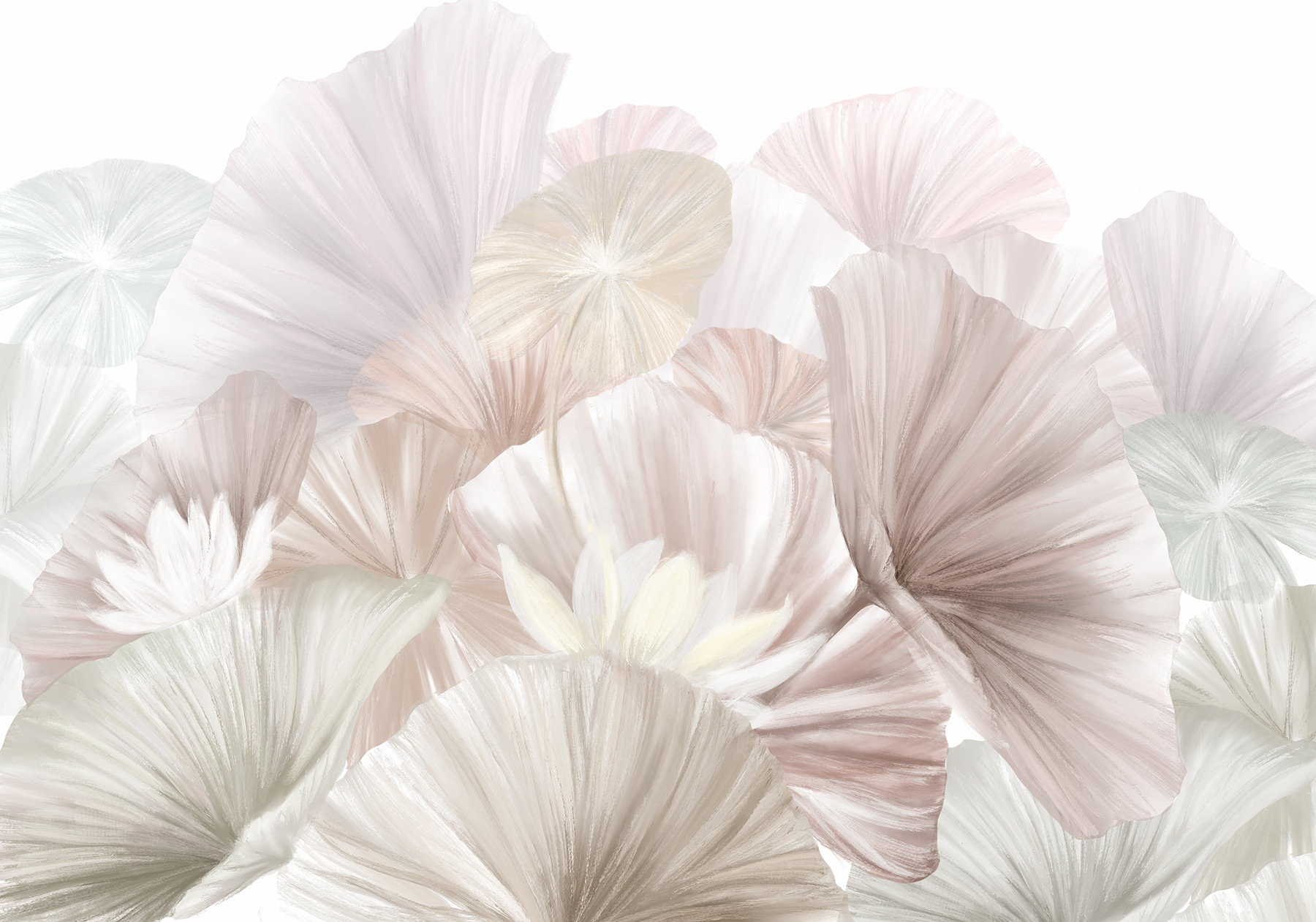 Group of white and pink flowers