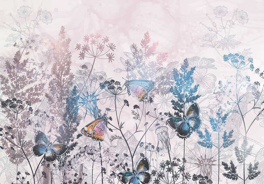 Papillons sur une plante