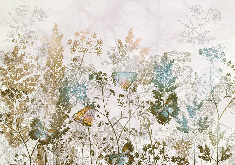 Papillons sur une plante Papillons sur une plante
