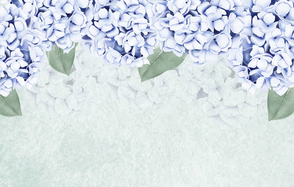 Groupe de fleurs blanches avec des feuilles vertes Groupe de fleurs blanches avec des feuilles vertes