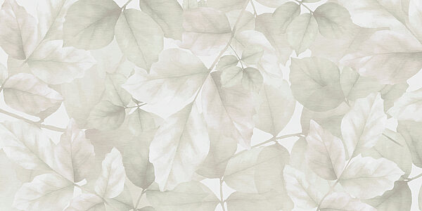 Gros plan sur les feuilles Gros plan sur les feuilles