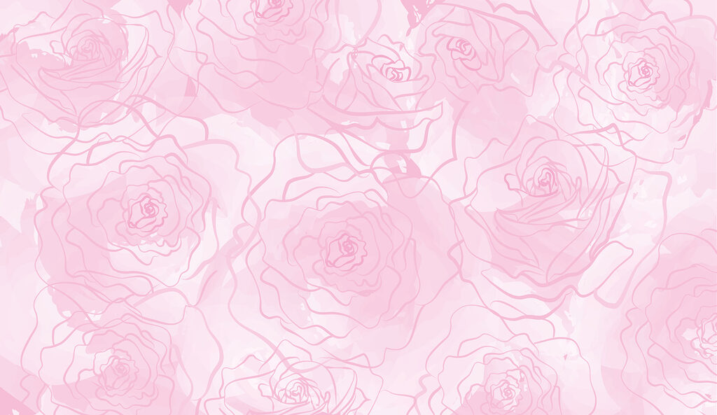 Roses roses sur fond blanc Roses roses sur fond blanc