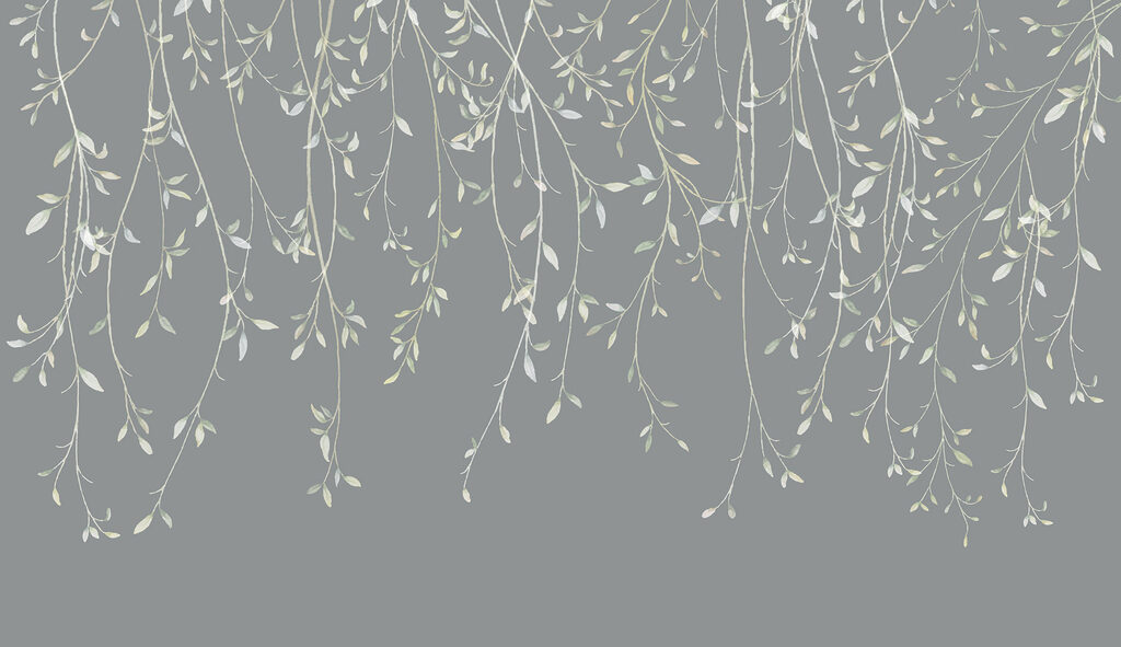 Close up of a branch