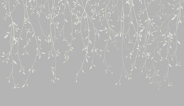 Fond blanc et gris avec des feuilles Fond blanc et gris avec des feuilles