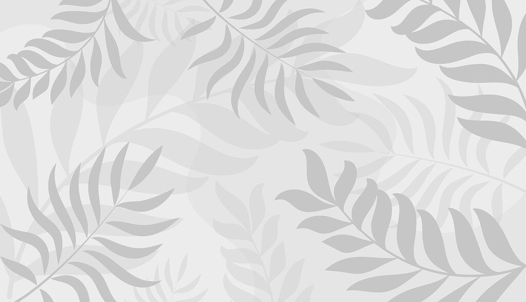 Feuilles grises sur fond blanc Feuilles grises sur fond blanc