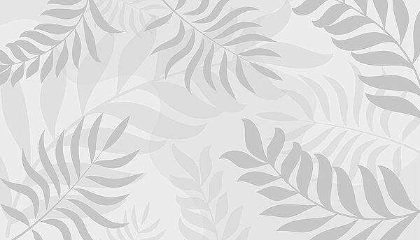 Feuilles grises sur fond blanc Feuilles grises sur fond blanc