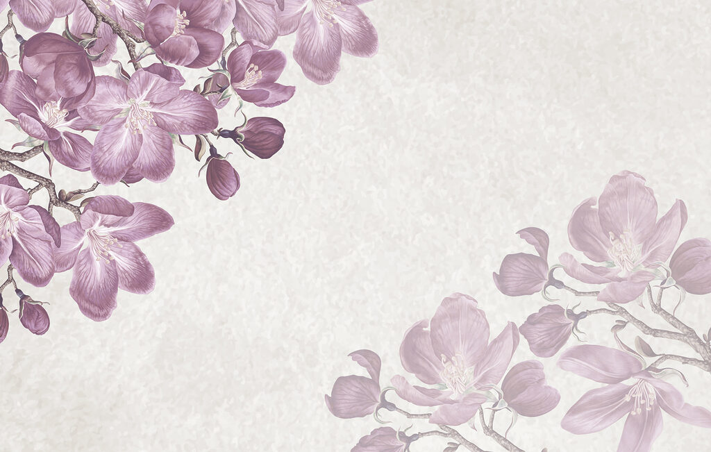 Fleurs violettes sur fond blanc Fleurs violettes sur fond blanc
