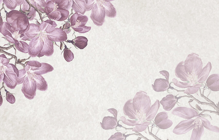 Fleurs violettes sur fond blanc
