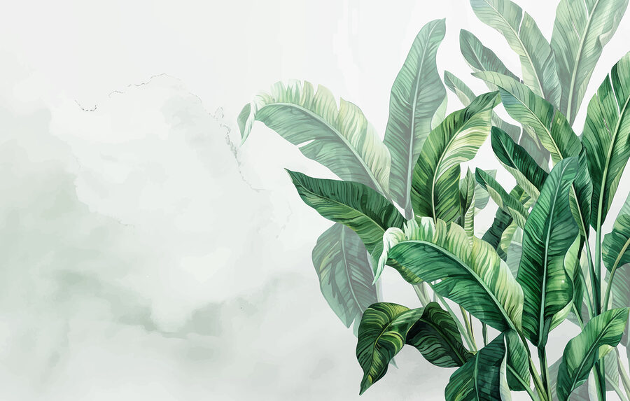 Gros plan sur une plante