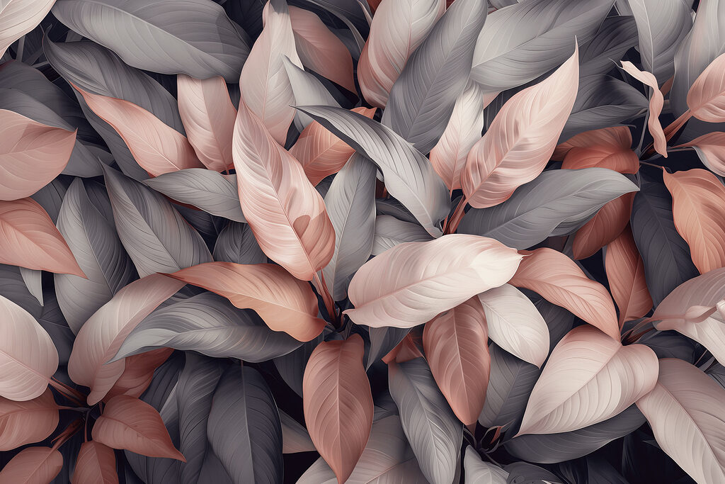 Groupe de feuilles avec des feuilles roses et grises Groupe de feuilles avec des feuilles roses et grises