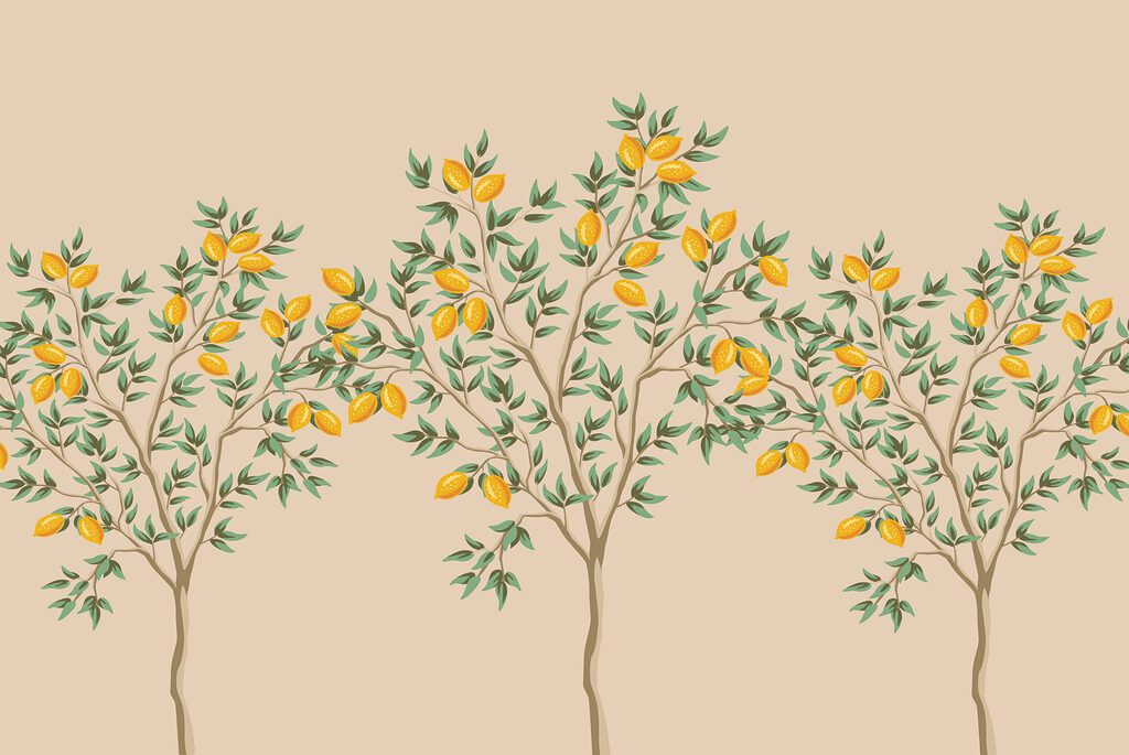 Tree with fruits on it