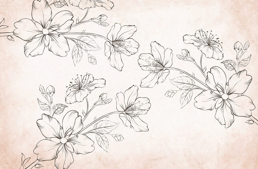 Dessin de fleurs sur fond blanc