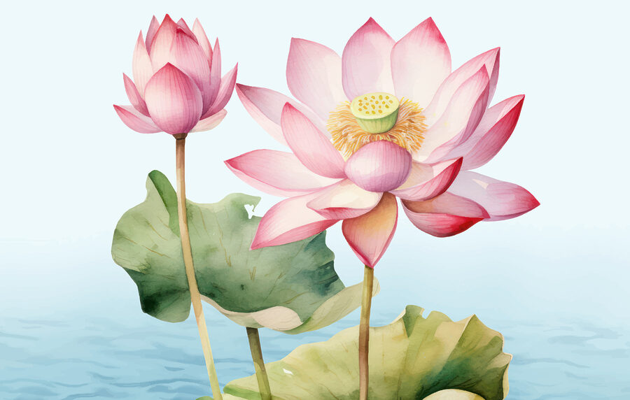 Gros plan sur une fleur