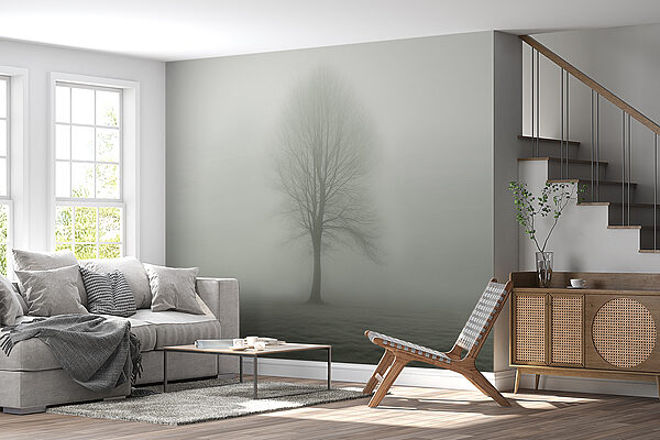 Arbre dans un champ brumeux Arbre dans un champ brumeux