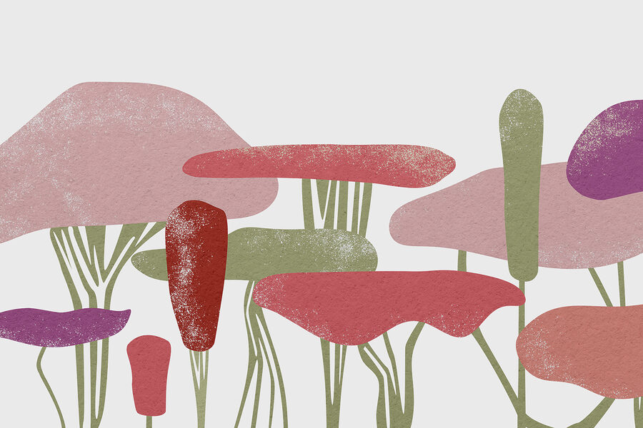 Groupe de plantes colorées