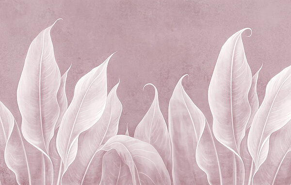 Gros plan sur les feuilles Gros plan sur les feuilles