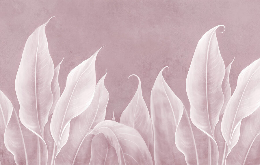 Gros plan sur les feuilles