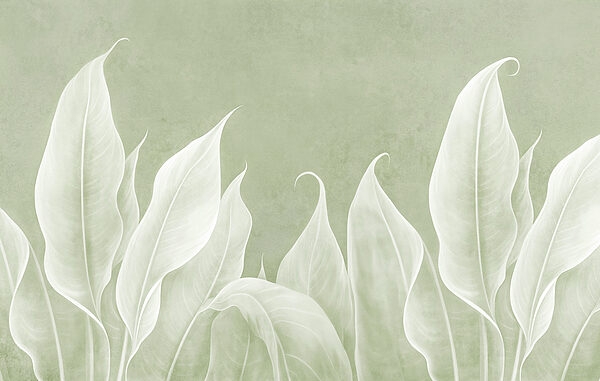 Gros plan sur les feuilles Gros plan sur les feuilles