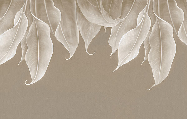 Gros plan sur les feuilles Gros plan sur les feuilles