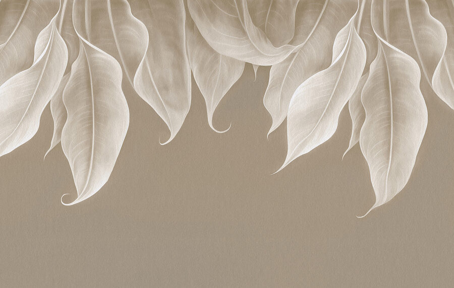 Gros plan sur les feuilles