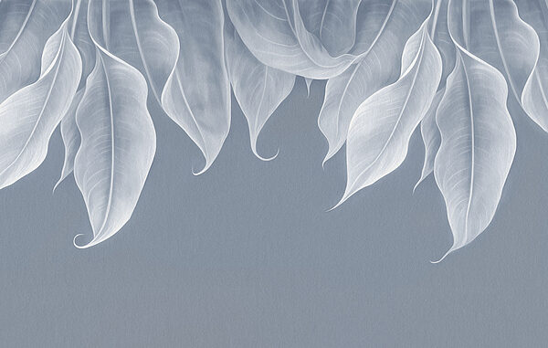 Gros plan sur les feuilles Gros plan sur les feuilles