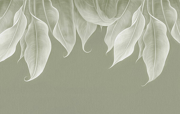 Gros plan sur les feuilles Gros plan sur les feuilles