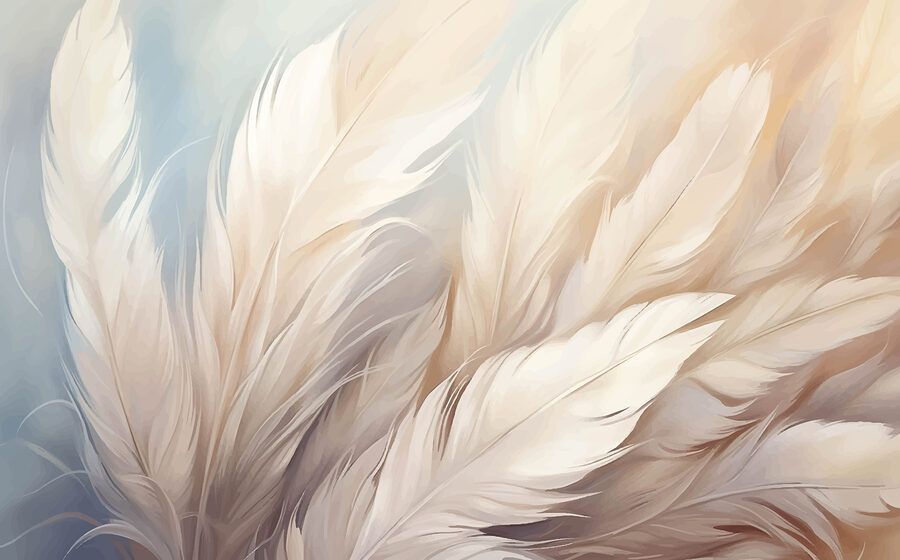 Gros plan sur les plumes