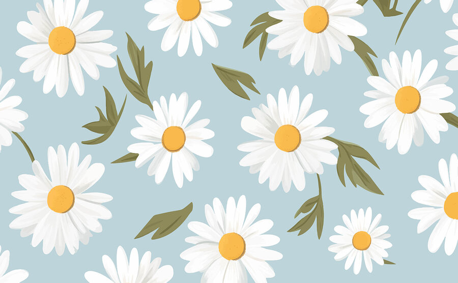 Motif de fleurs blanches et de feuilles vertes