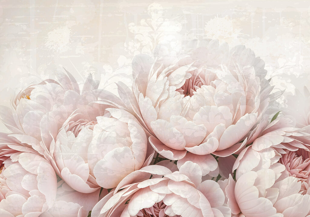 Groupe de fleurs roses Groupe de fleurs roses