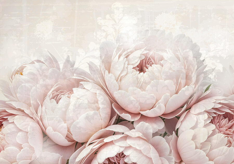 Papier peint Groupe de fleurs roses – Image 7