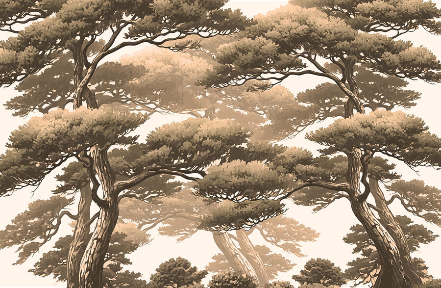 Groupe d'arbres avec des branches