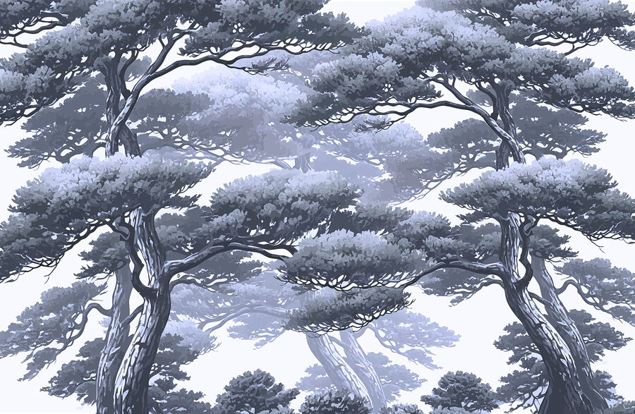 Groupe d'arbres avec des branches