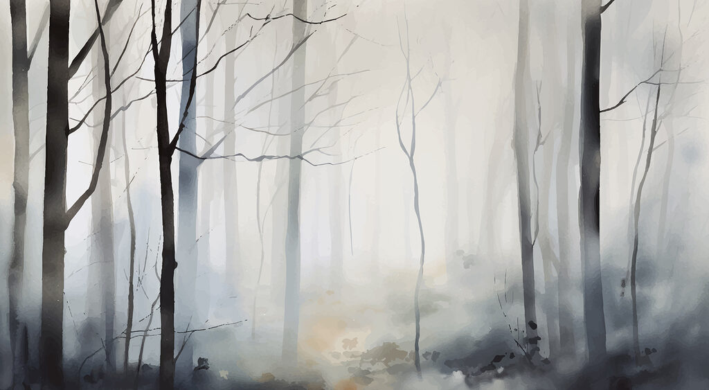 Forêt brumeuse avec des arbres Forêt brumeuse avec des arbres