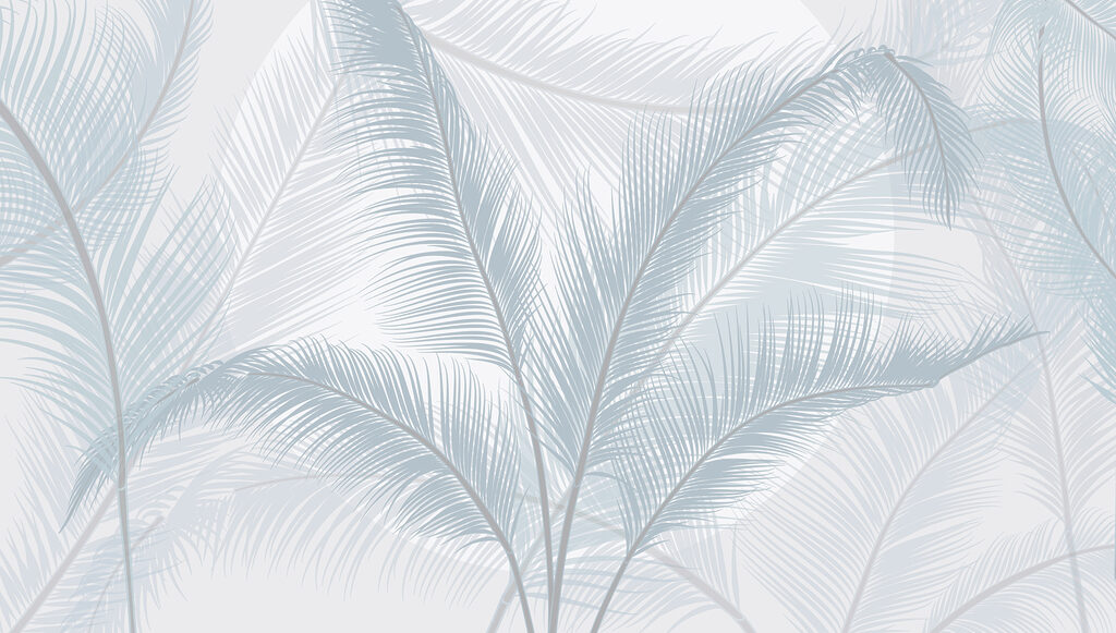 Groupe de plumes sur fond blanc Groupe de plumes sur fond blanc