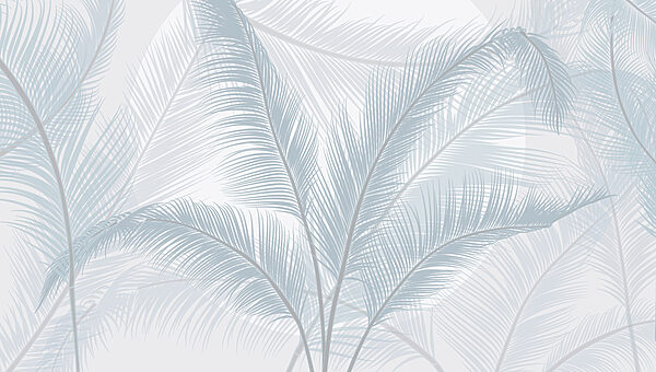 Groupe de plumes sur fond blanc Groupe de plumes sur fond blanc