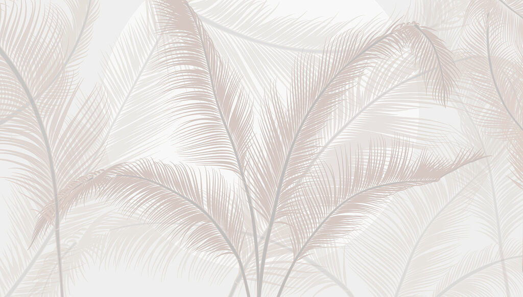 Groupe de plumes sur fond blanc Groupe de plumes sur fond blanc