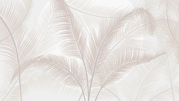 Groupe de plumes sur fond blanc Groupe de plumes sur fond blanc