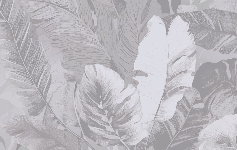 Gros plan sur les feuilles