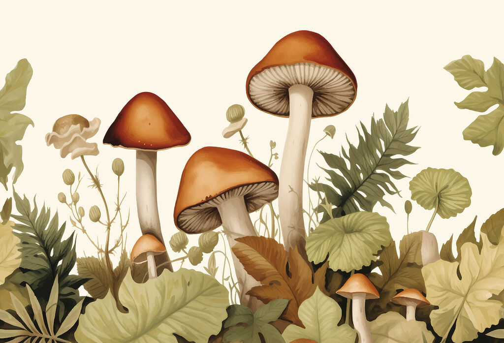 Groupe de champignons avec feuilles Groupe de champignons avec feuilles