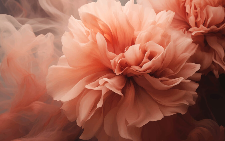 Gros plan sur une fleur Gros plan sur une fleur