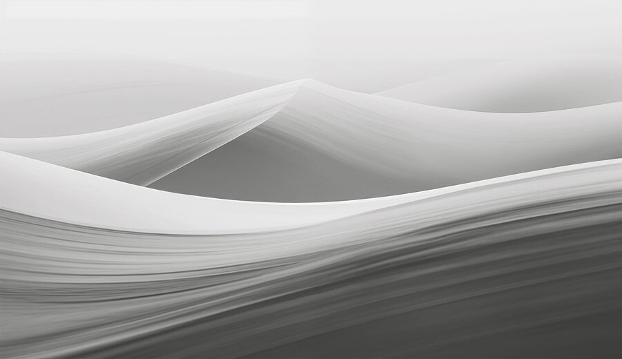 Paysage gris et blanc